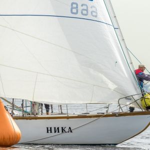 339